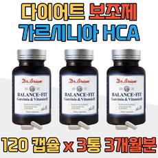 도둑신부1