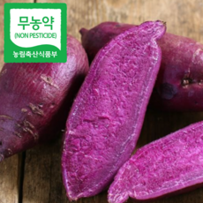 맛있는 무농약 해남 자색고구마 산지직송, 1개, 3Kg(특상)