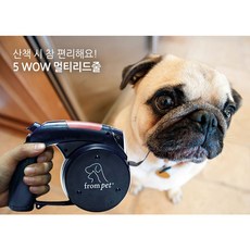 프롬펫