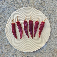 2022년산햇고추가격