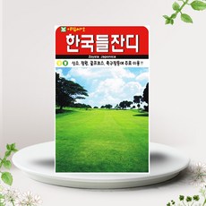 솔림텃밭몰 한국들잔디씨앗 10000립 들잔디 꽃씨앗 가정원예 성묘