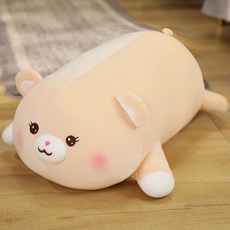 성장영상돼지토끼