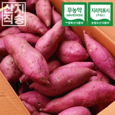 해남달망고구마