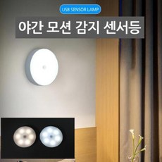 모션감지led