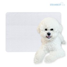 스팀보이쿠션매트