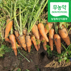 [위천농산물] 국내산 파지 못난이 친환경 무농약 흙당근(당근주스 당근즙용), 1박스, 5kg(즙,주스용당근, 사이즈다양함)