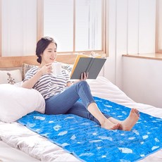 로라에슐리쿨매트