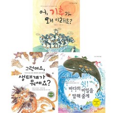 초등학생과학상자