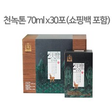 정관장 천녹톤 홍삼+녹용 건강선물 천녹쇼핑백증정 보름분