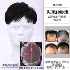 남자붙이는가발