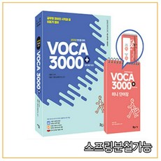 이동기3000