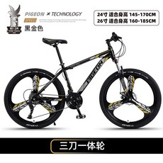 경주자전거대여