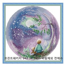 보석십자수어린왕자