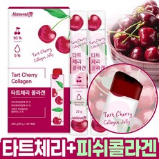 다크젤리