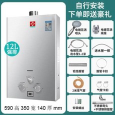 캠핑카가스온수기 화물 보일러 목욕 욕실 캠핑 캠핑카 휴대용가스온수기 조절기 화장실 세면대, 천연 가스, C.12L+동수조+화염방지 강제 배기형