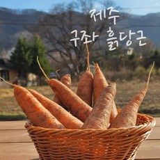 [산지직송] 청정제주 구좌 햇 흙당근, 10kg(중), 1개