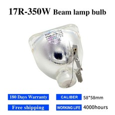 라이언도어라이트