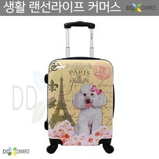 배낭여행 이삿집 대용량가방 해외여행 기내용 캐리어 20인치 파리 짐싸기 이사 휴가
