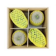[선물세트]코스트코 메론&샤인머스켓세트 4.5kg, 옵션, 1개