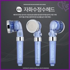 자화수