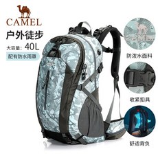 브라이튼땡땡이