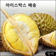 //상품명