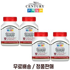 21세기센츄리 콘드로이친 글루코사민 250mg 60캡슐 4팩, 60개입, 4개, 60정