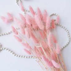 버니테일포푸리