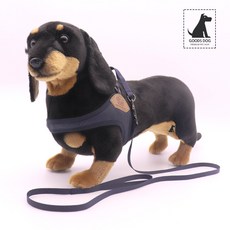 찰리스백야드하네스