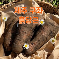 국내산 맛있는 제주 구좌 흙당근, 1개, 제주구좌 흙당근 상 5kg