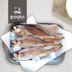 진해중앙시장