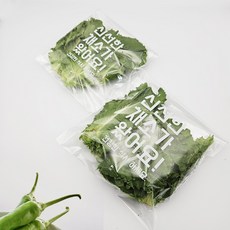 신선한채소가왔어요(대) 쌈채소 상투봉투 쌈봉투 배달봉투 200장 200개, 600ml