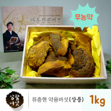 무농약 인증 국산 상황 버섯 1킬로 1kg 상황버섯균사체 100% 원물 베타글루칸 상황버섯차 뽕나무 목질진흙버섯 종류 펠리누스린테우스 먹는방법 끓이는법 효능 친환경 류충현약용버섯 명품 건강 선물세트, 1세트