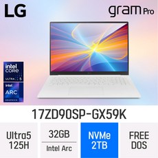 LG전자 그램 프로17 17ZD90SP-GX59K, Free DOS, 32GB, 2TB, White