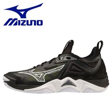 v1ga231252 TOP01