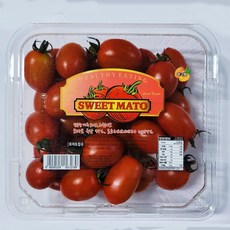 [당도보장] 스테비아 방울토망고 레드 500g 1kg 1.5kg 2kg, 1개