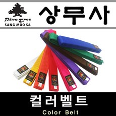 주짓수오렌지벨트