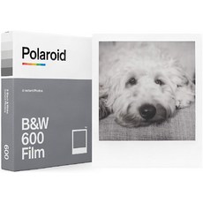 Polaroid Originals 폴라로이드 블랙 화이트 600 카메라 필름 16장 2P, 1개, 단일상품
