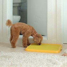 강아지토일렛 배변패드고정 배변판 중소형견용, 1개, 오렌지 - 배변패드홀더