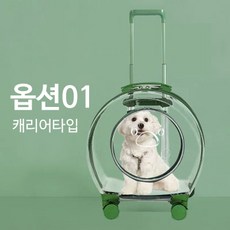 투명 반려동물 켄넬 외출가방 애견동물 외출 캐리어, 캐리어타입