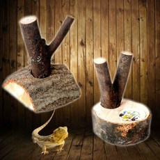  사슴벌레산란목 먹이목 곤충키우기 사슴벌레 놀이목, Y자형 이중잎 + 넓은 입 조경 