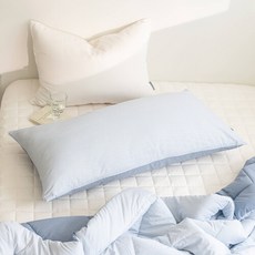 알러지케어대쿠션