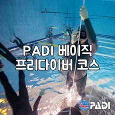 [쿱스 프리다이빙] PADI 베이직 프리다이버