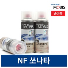 현대모비스 NF소나타 & 트랜스폼 카페인트 붓 차랑용스프레이 투명 블랙 화이트 1개, 붓페인트, N2 1차+2차