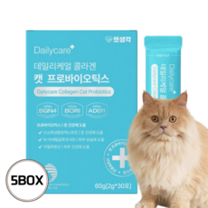 펫생각 고양이 프로바이오틱스 종합 유산균 분말 간식 피부 털빠짐 면역력 배변활동 종합영양제, 무향, 소화기능 개선, 5개