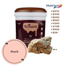 일라이트페인트