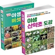 산약초책