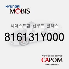 캐스퍼웨더스트립