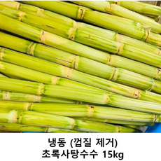 초록사탕수수 스틱 베트남산 냉장 냉동, 15kg(1개), 1개