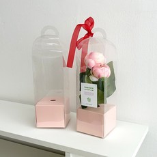 한 송이 꽃 캐리어 꽃포장 한송이꽃포장 꽃캐리어, 1세트(10개), 핑크 1세트(10개), 핑크